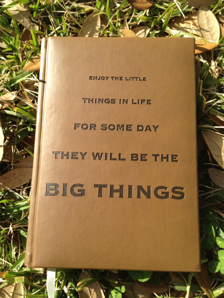 Little things are big things journal
