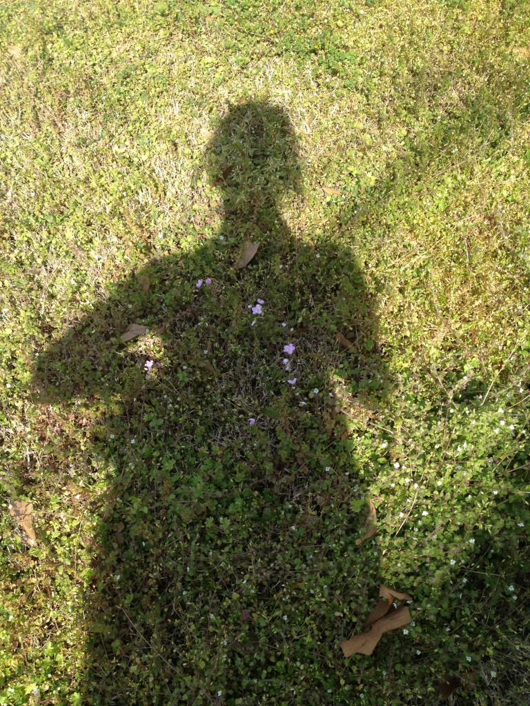 My shadow.