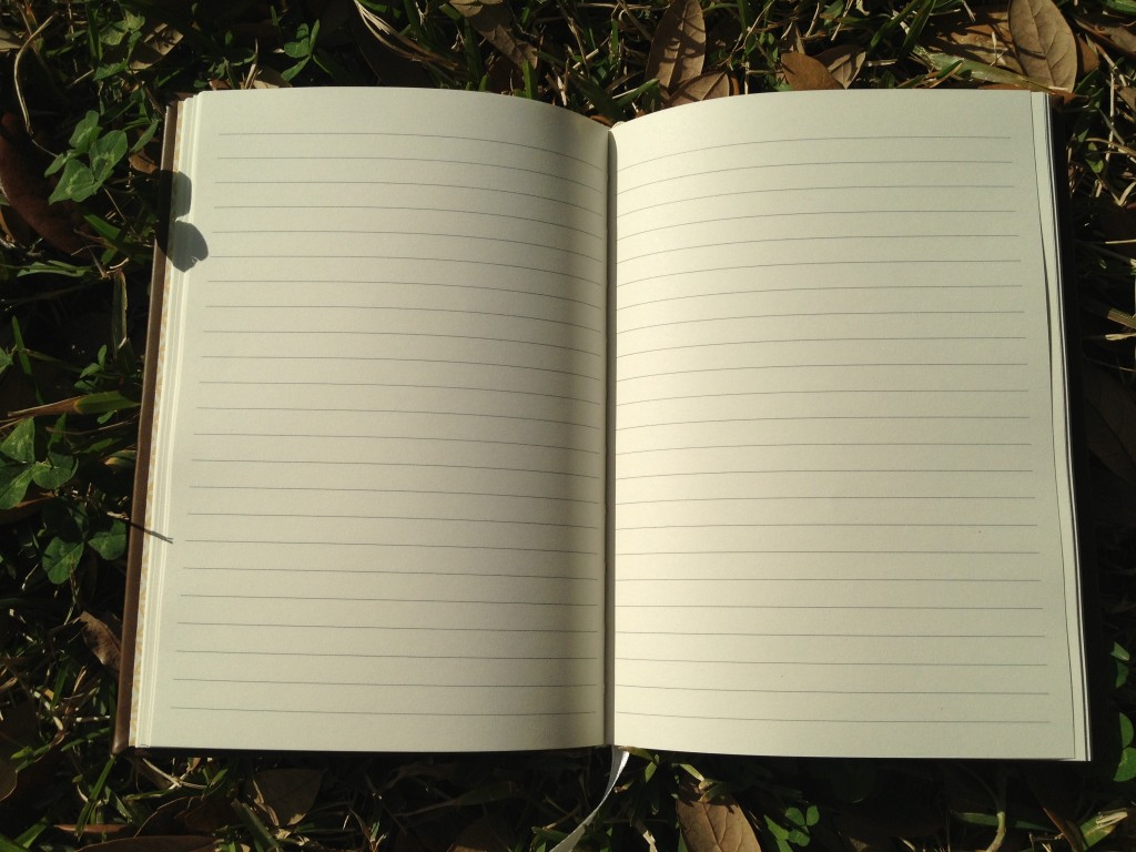 Blank pages waiting to be filled