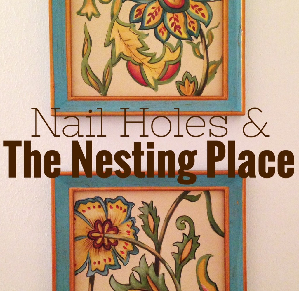 Nail Holes & The Nesting Place