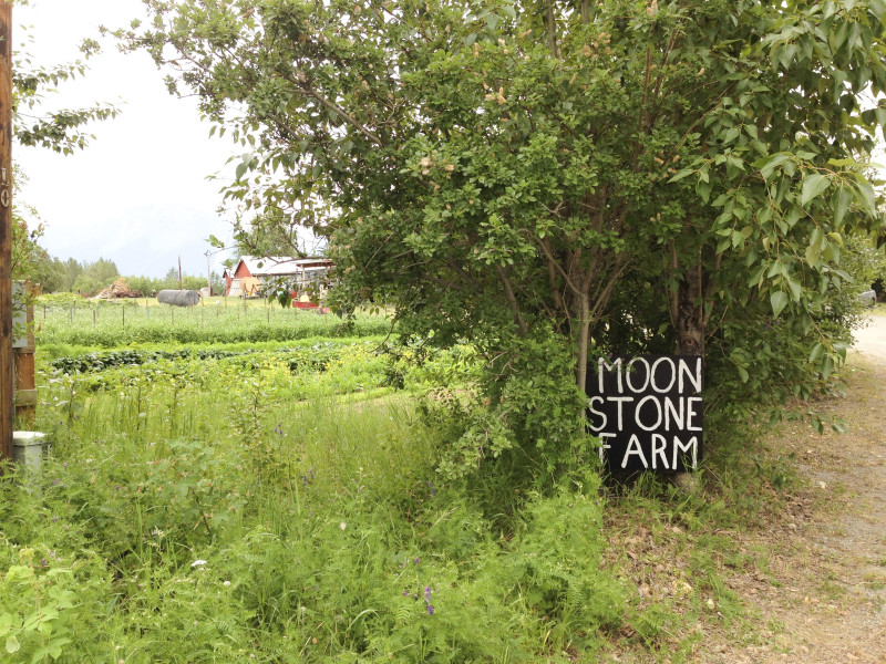 Moonstone Farm. #mapinalaska pamelapetrus.com
