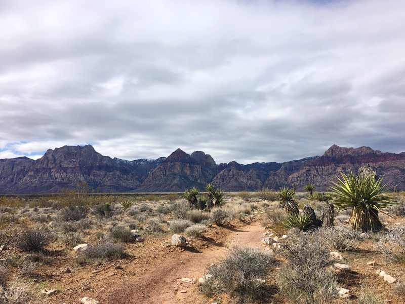 Red Rock Canyon Mojave Desert