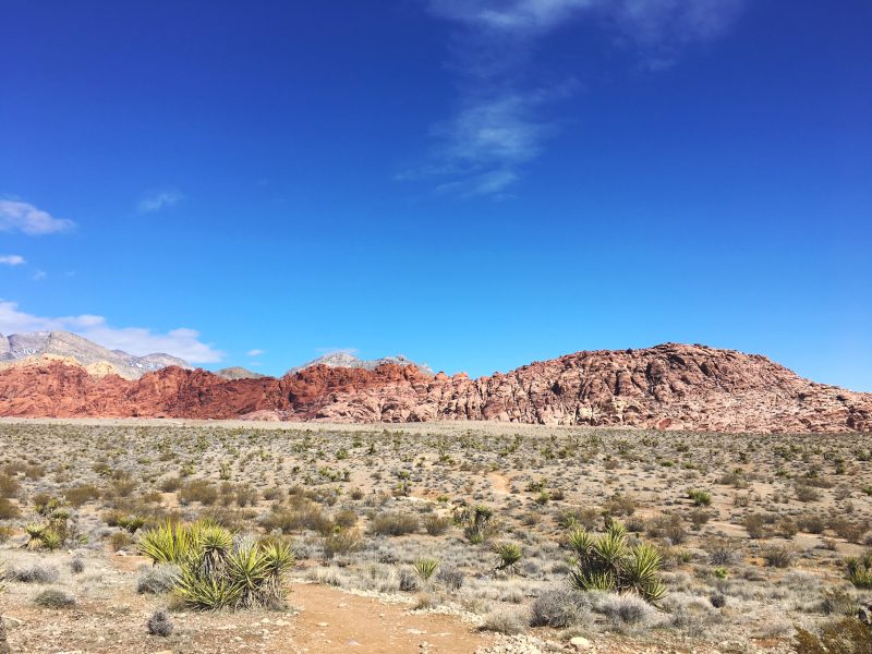 Red Rock Canyon Mojave Desert