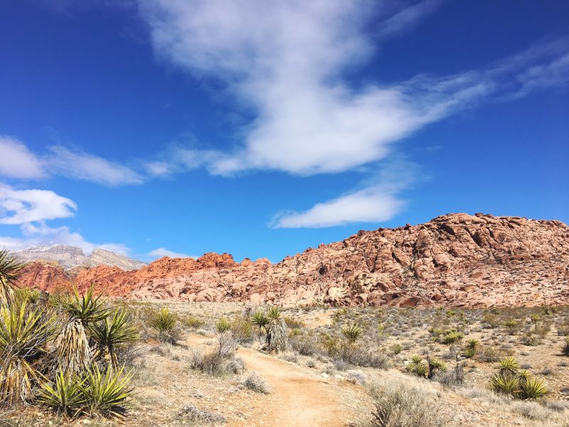 Red Rock Canyon Mojave Desert