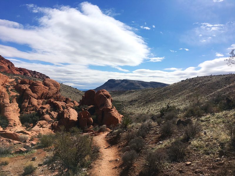 Red Rock Canyon Mojave Desert