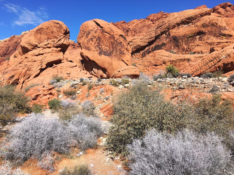 Red Rock Canyon Mojave Desert