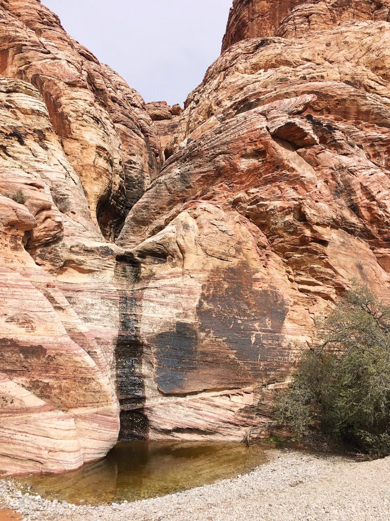 Red Rock Canyon Mojave Desert