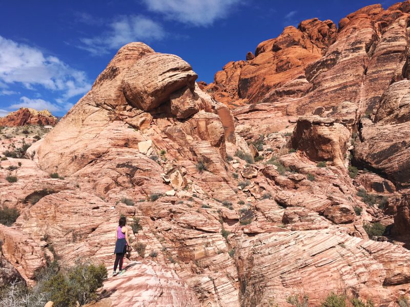 Red Rock Canyon Mojave Desert