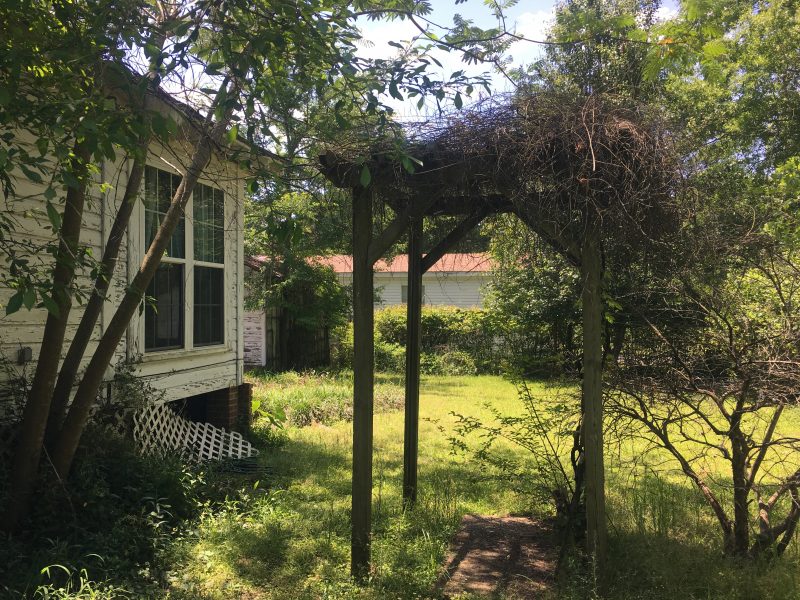 100 Year Old House Yard