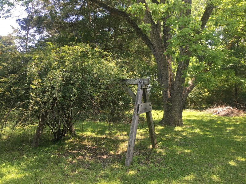 100 Year Old House Tree