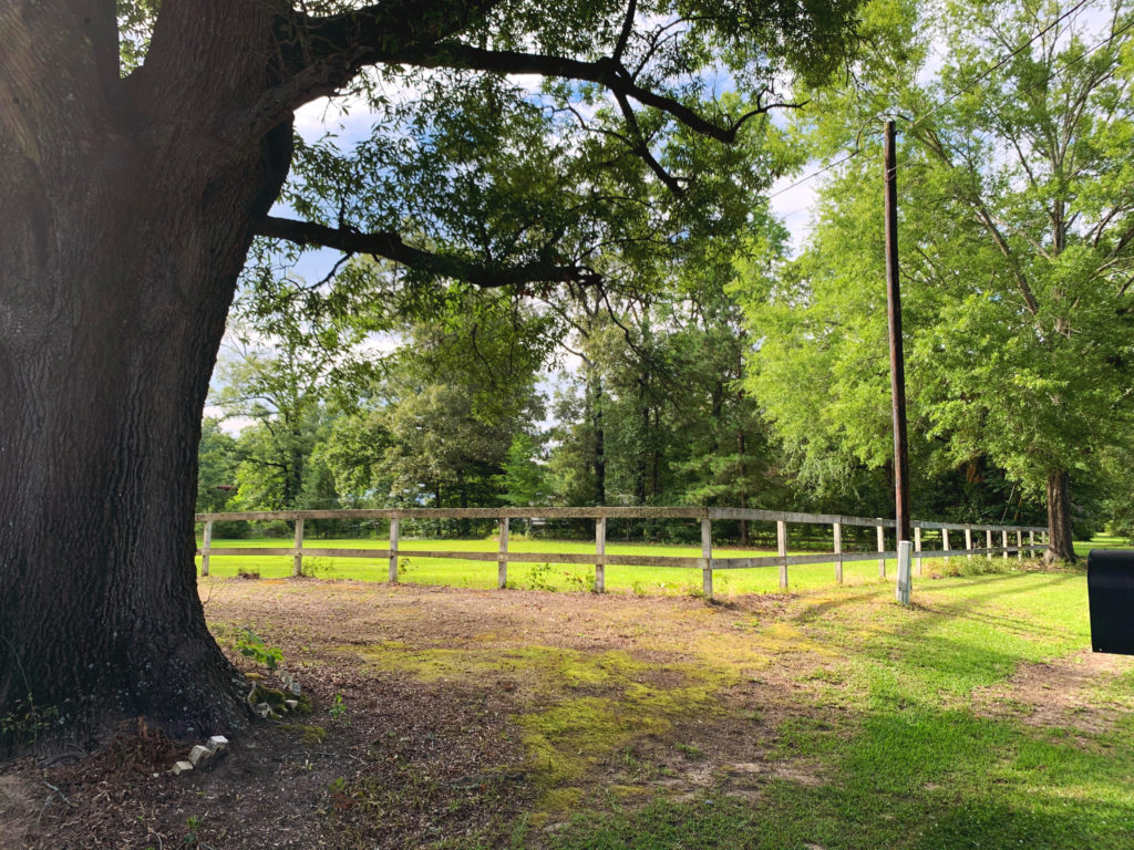 Hwy 557 white fence